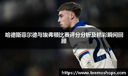 哈德斯菲尔德与埃弗顿比赛评分分析及精彩瞬间回顾